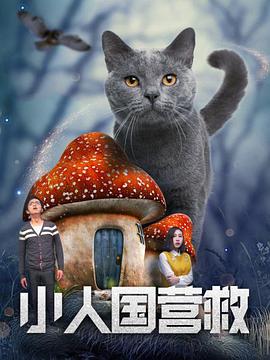 相泽南磁力链接